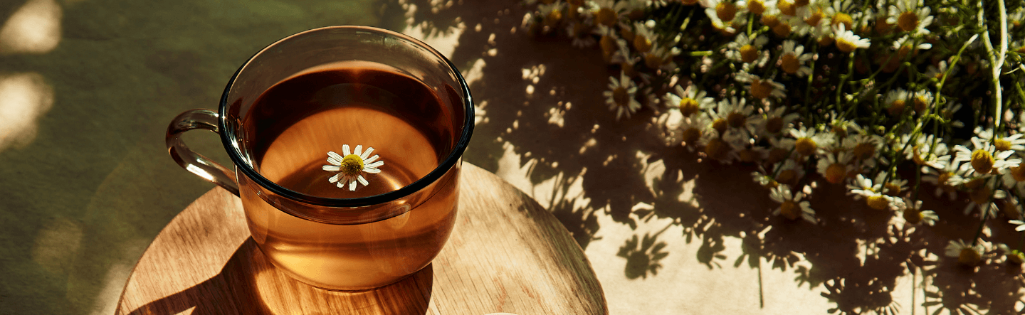 Bienfaits des plantes sur le sommeil