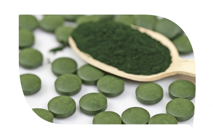 La spiruline : qu'est-ce que c'est ?