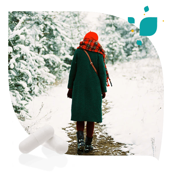 Promenade hivernale, bien-être, énergie, nature et vitalité.