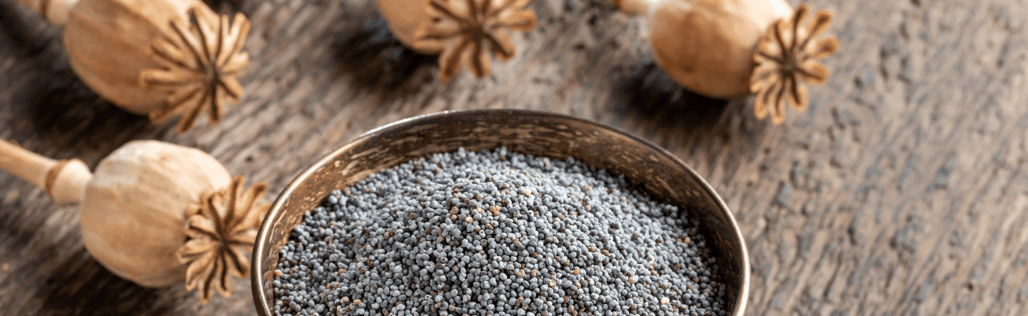 Détox naturelle, purification corps.