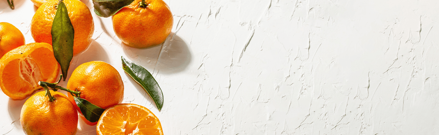 Paysage hivernal lumineux, énergie hiver, vitalité saisonnière, bien-être naturel.