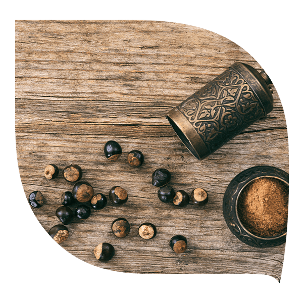 Bienfaits guarana, énergie, concentration, brûle-graisses naturel.