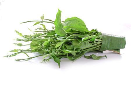 Gymnema, plante régulatrice de sucre.