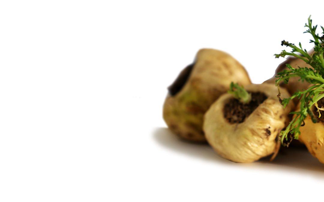 Maca, énergie et vitalité naturelle.
