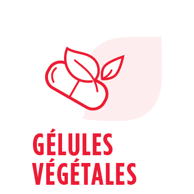 Gélules Végétales