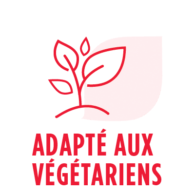 Adapté Aux Végétariens