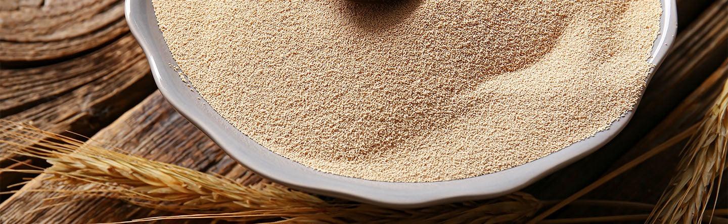 Articles santé et bien-être, nutrition, conseils pour une vie saine.