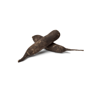 Radis noir, utilisation en cuisine et compléments détox.