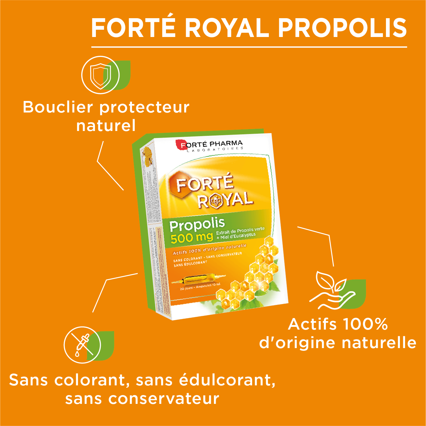 Bienfaits propolis immunité FortéRoyal