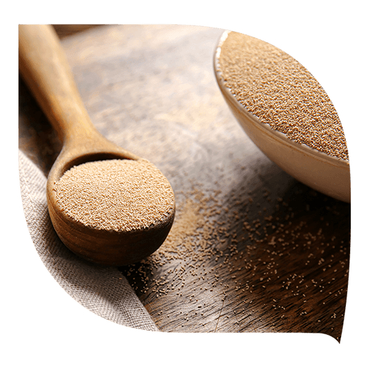 Levure de bière - Forté Pharma