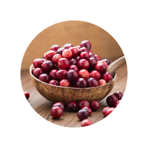 Ingrédient cranberry