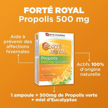 Forté Royal Propolis 500 - Forté Pharma - Forté Royal Propolis 500 - Default Title