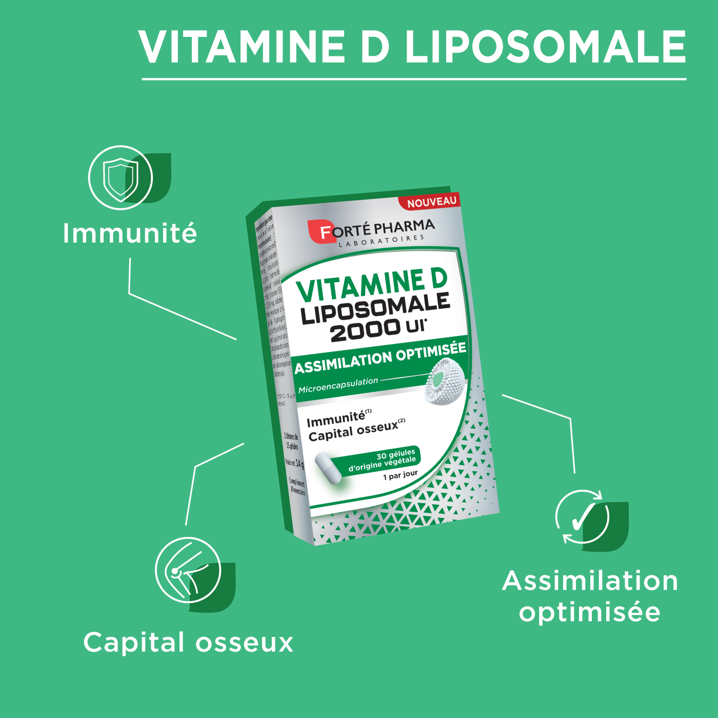 Vitamine D Liposomale attributs immunité
