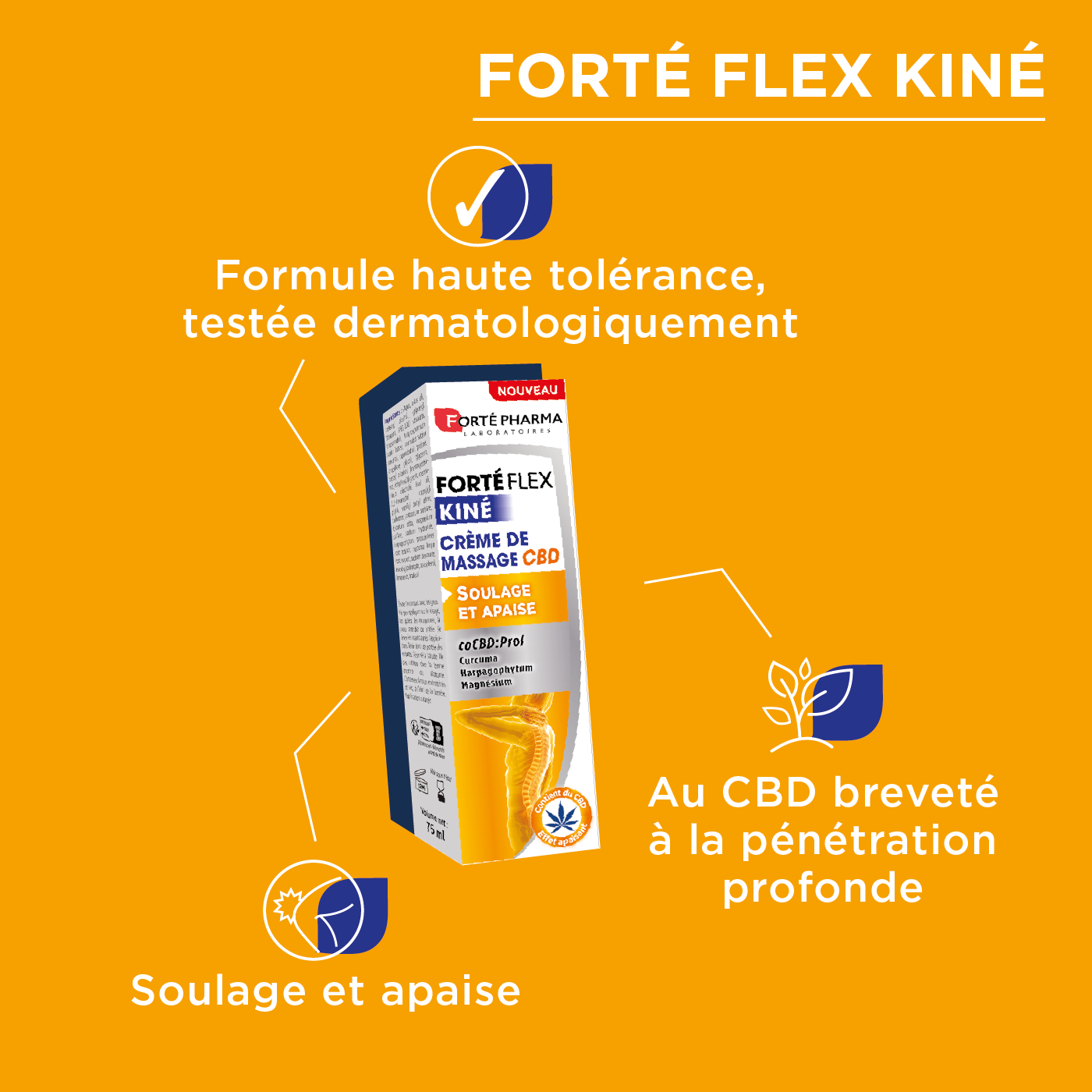 Forté Flex Kiné Crème de massage CBD