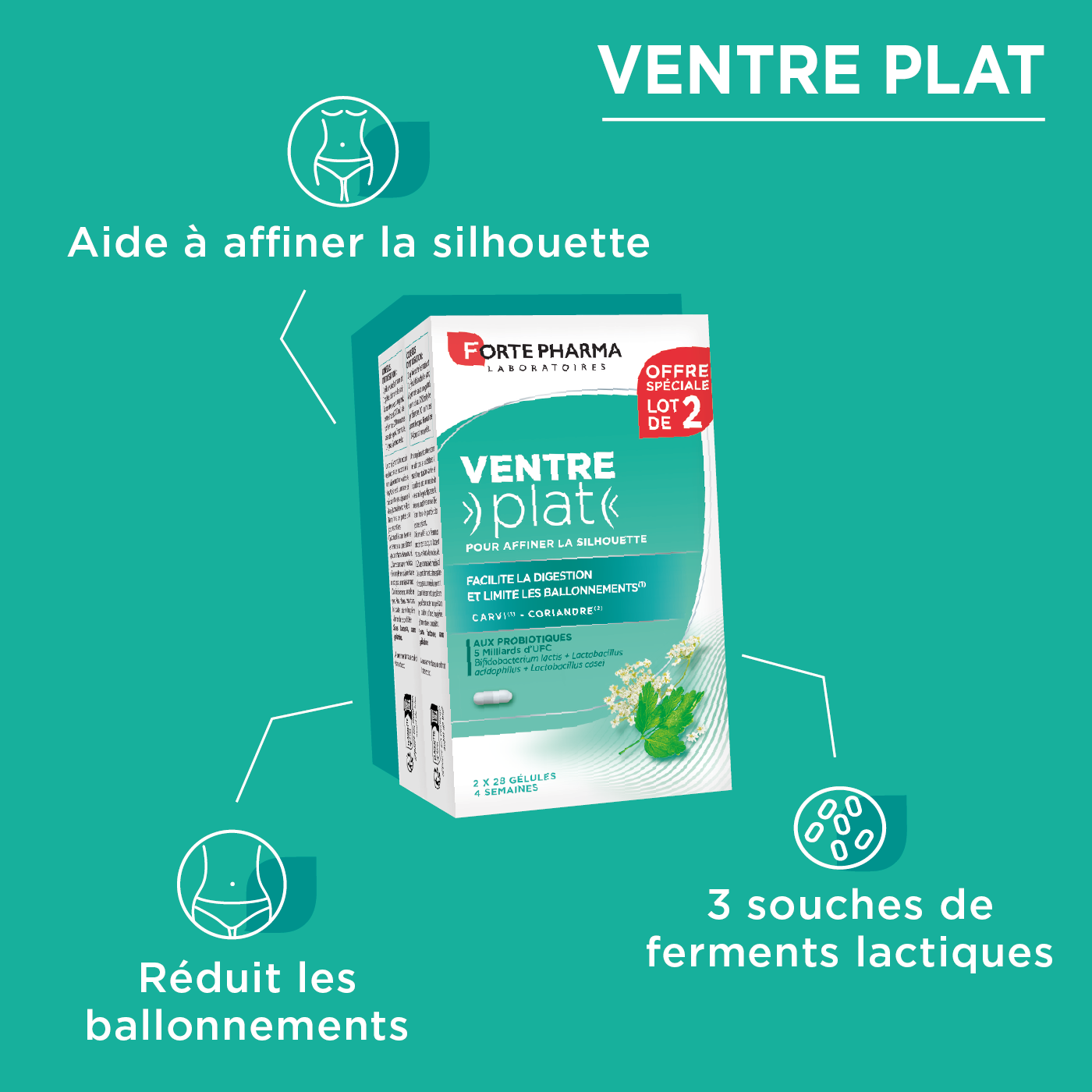 Actions minceur Ventre plat