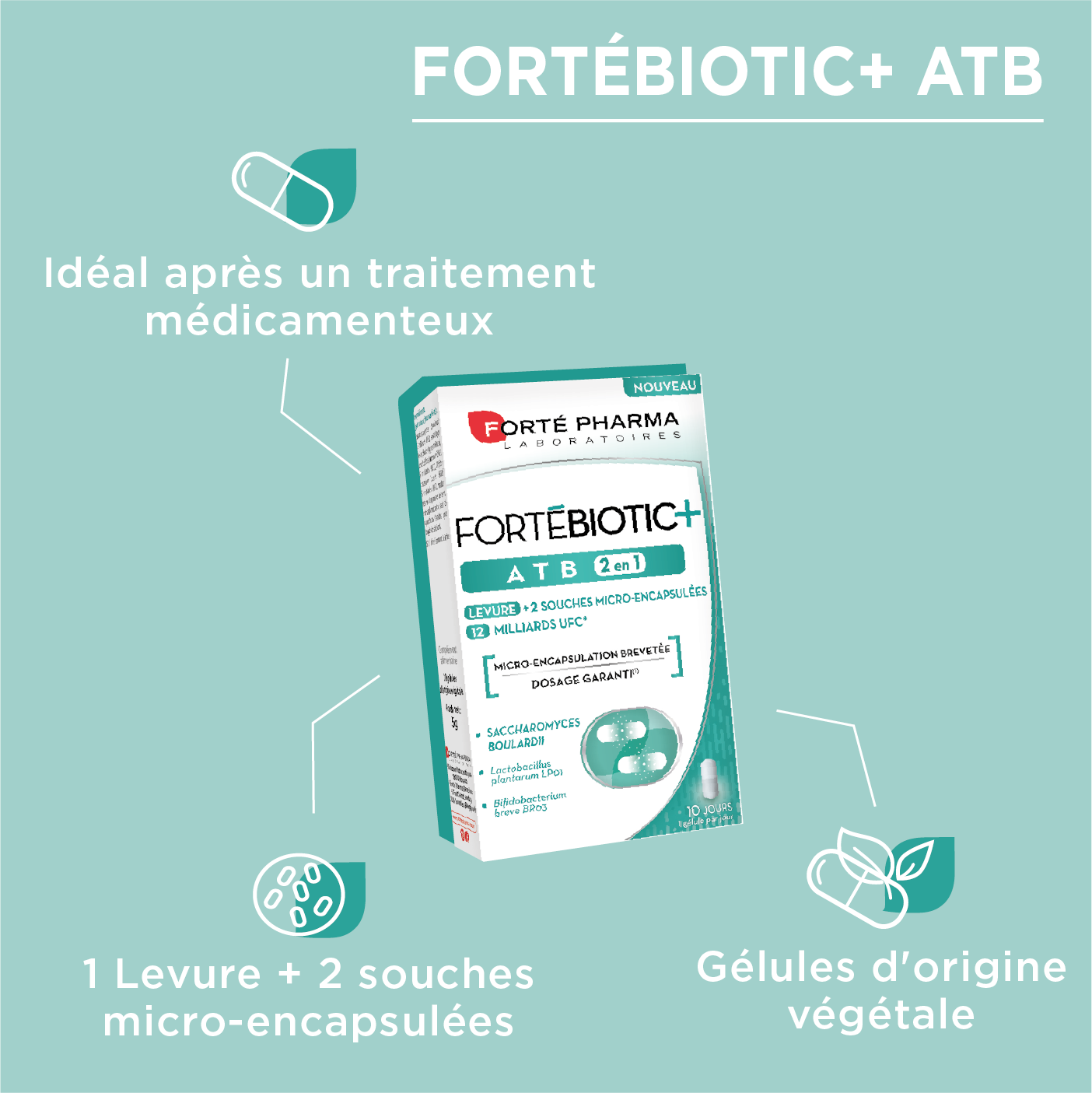 Actions microbiote FortéBiotic+ ATB