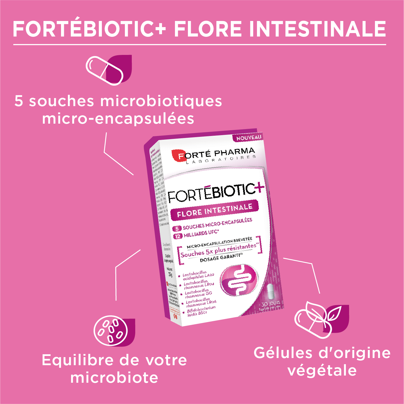 Actions flore intestinale microbiote ForteBiotic