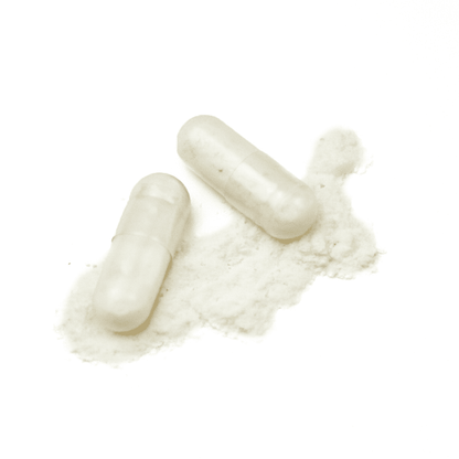 FortéProbio+ Flore Intestinale - Forté Pharma