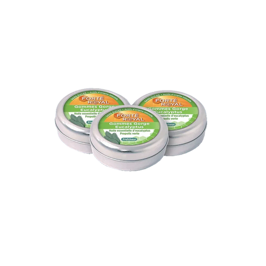 Lot de 3 Forté Royal Gommes Eucalyptus - Forté Pharma - Lot de 3 Forté Royal Gommes Eucalyptus - Default Title