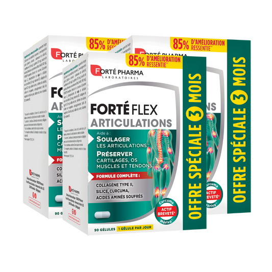 Lot de 3 Forté Flex Articulations