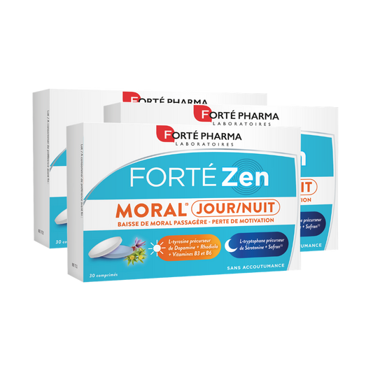 Lot de 3 FortéZen Moral Jour/Nuit