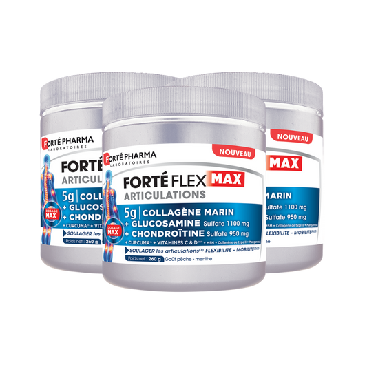 Lot de 3 Forté Flex Max Articulations Collagène Marin