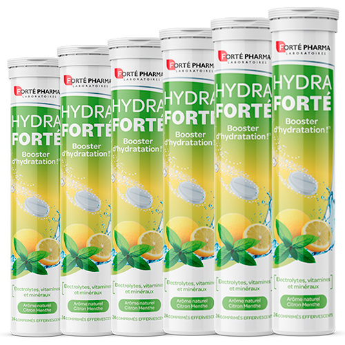 Lot de 6 Hydra Forté Citron Menthe