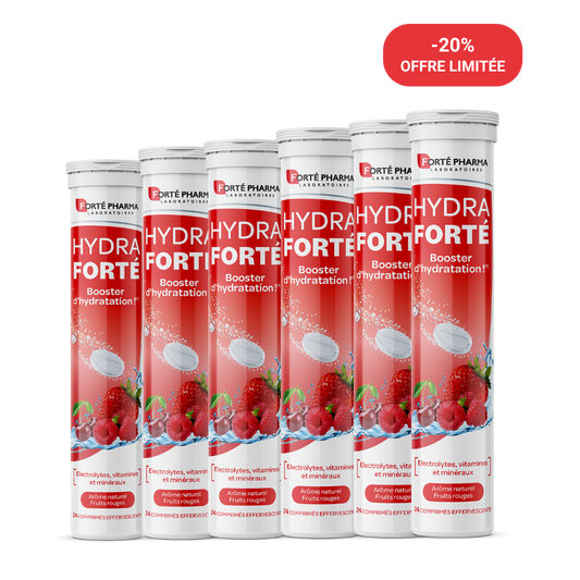 Achetez notre lot de 6 hydra forté 