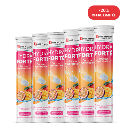 Achetez notre lot de 6 hydra forté 