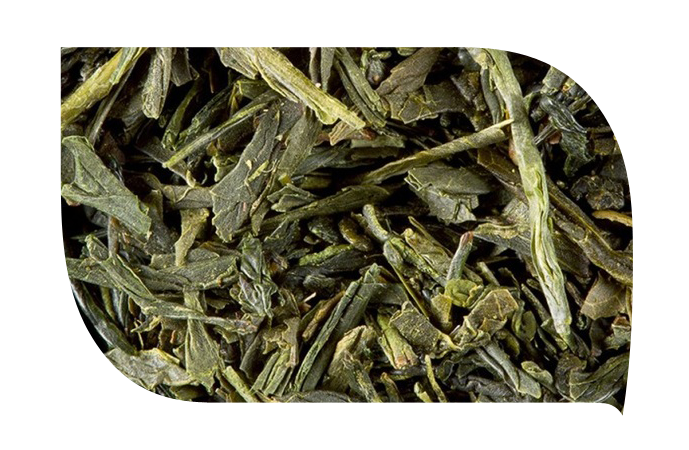 Qu'est ce que c'est le thé vert ?