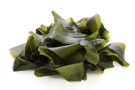 Wakame, algue aux vertus brûle-graisses et coupe-faim naturelles.