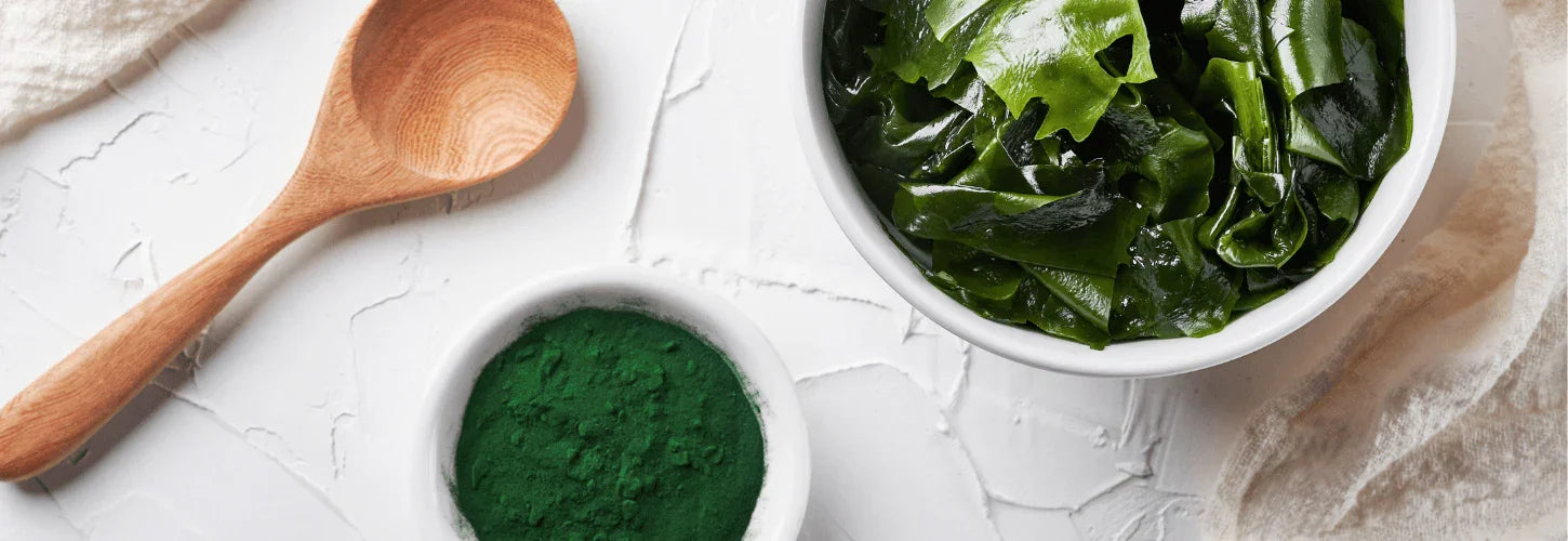 Spiruline et sport comment booster ses performances physiques — free download