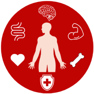 Axe Vitalite Globale