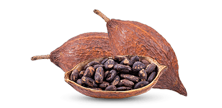 Fèves de cacao, antioxydants naturels, énergie, bien-être mental.