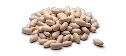 Haricots blancs secs, protéines végétales, glucides complexes, satiété.