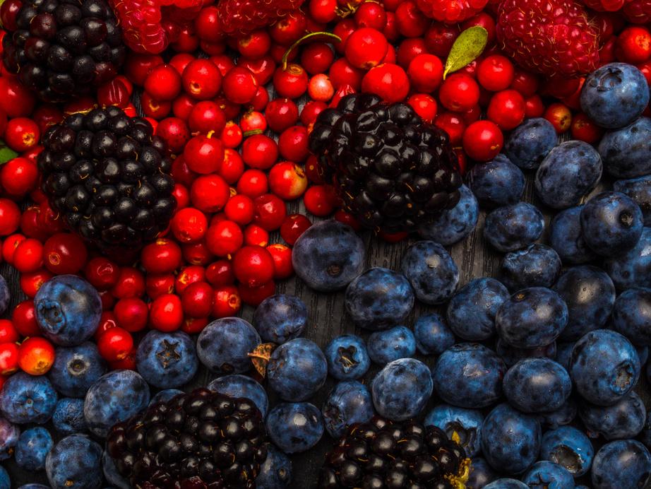 Resvératrol : Antioxydant