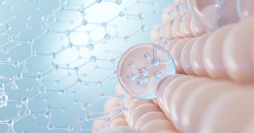 Collagène : protéine structurelle (peau, articulations, tissus conjonctifs)