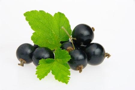 Baies de cassis, vitamines et antioxydants.