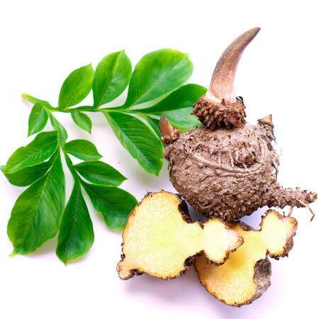 Racine de konjac, fibre naturelle pour minceur.