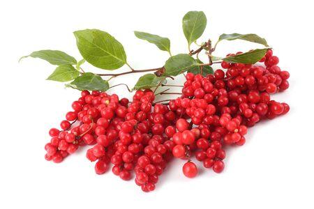 Baies de schisandra rouges, antioxydants et bien-être.