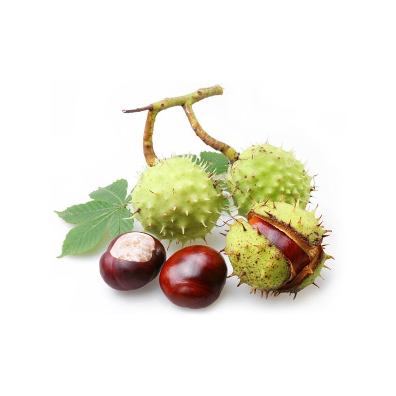 Marron d’Inde, circulation et jambes légères.