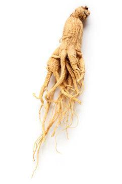 Ginseng rouge, vitalité et endurance.