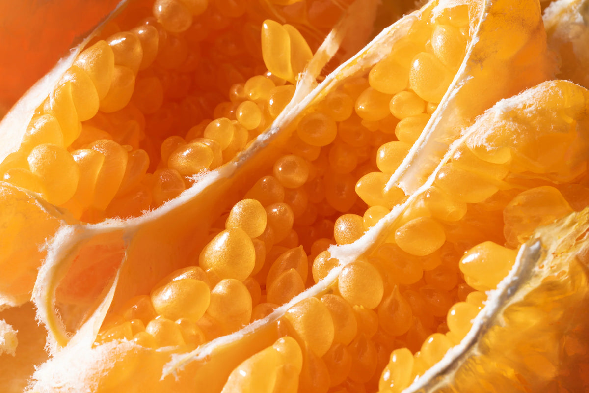 Fibres d'orange, ingrédient naturel Forte Pharma