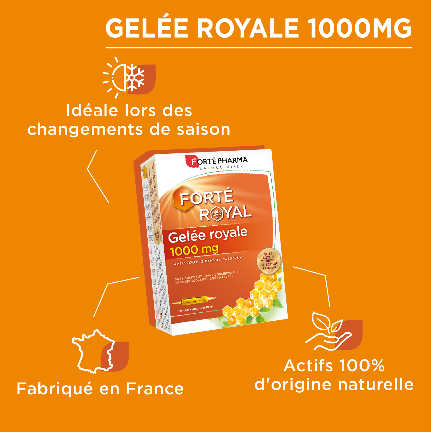 Forté Royal Gelée Royale 1000 mg - Immunité ruche