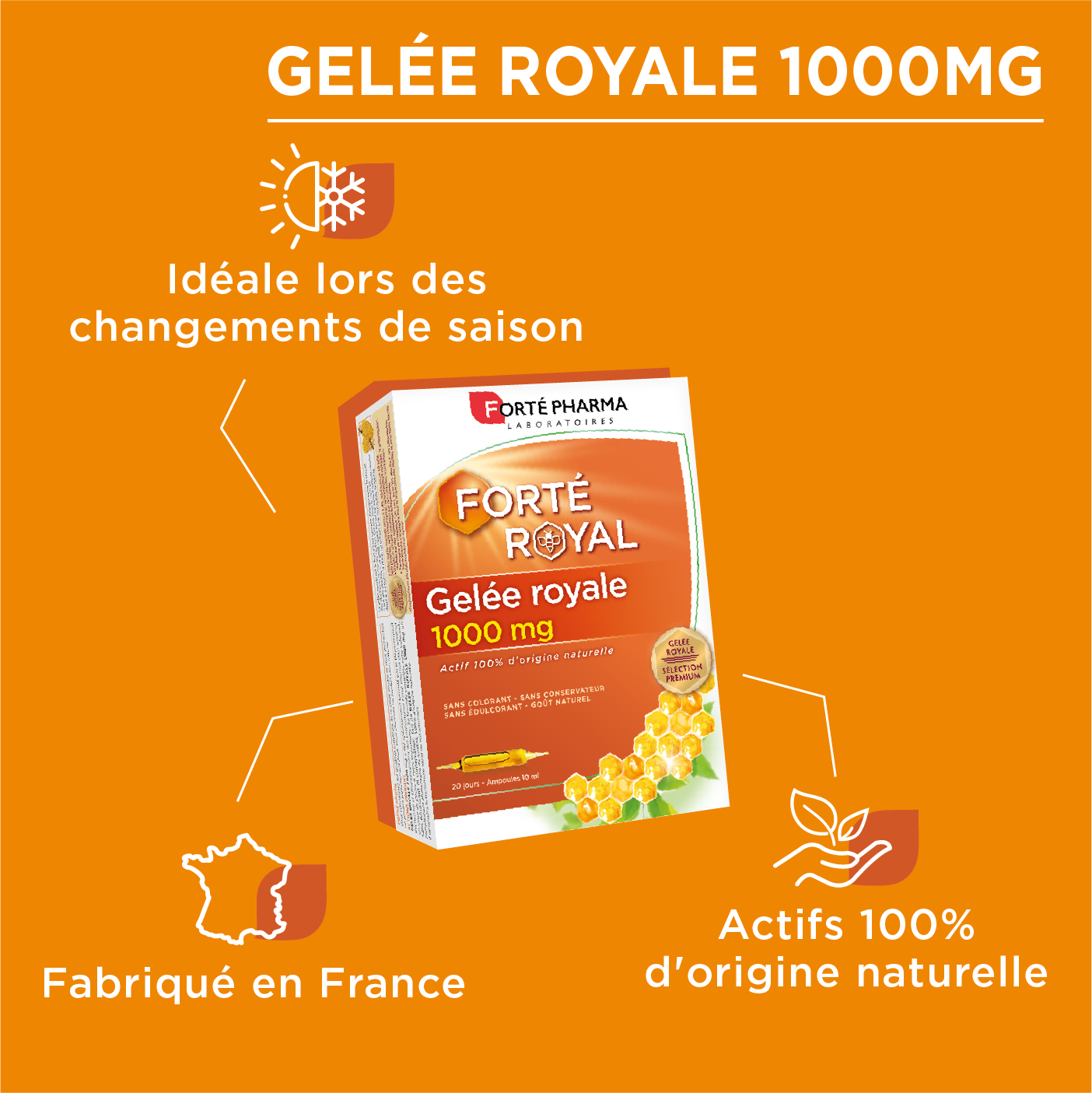 Bienfaits gelée royale 1000mg ingrédients naturels