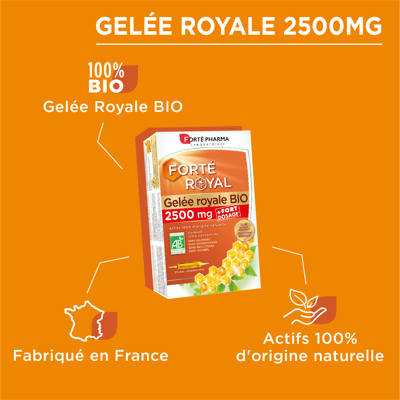 Forté Royal Gelée Royale BIO 2500 mg - Immunité ruche