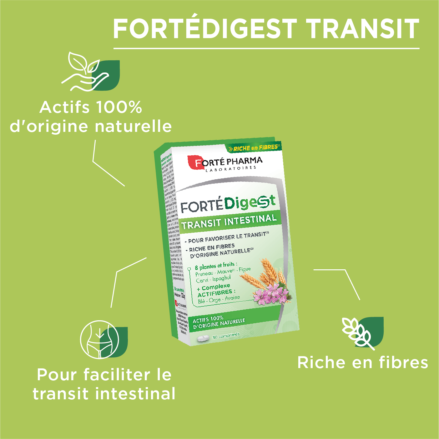 Actions transit digestion fibres FortéDigest