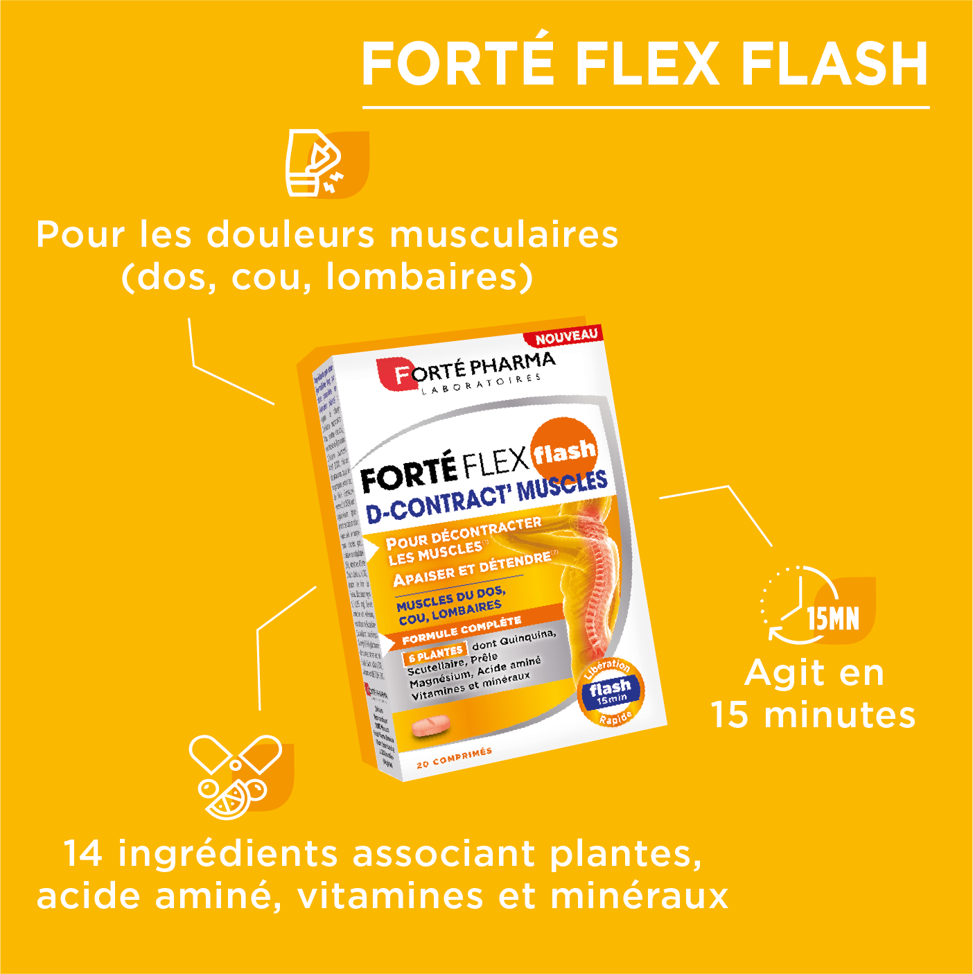 Actions décontractant muscles Fortéflex Flash D-Contract 