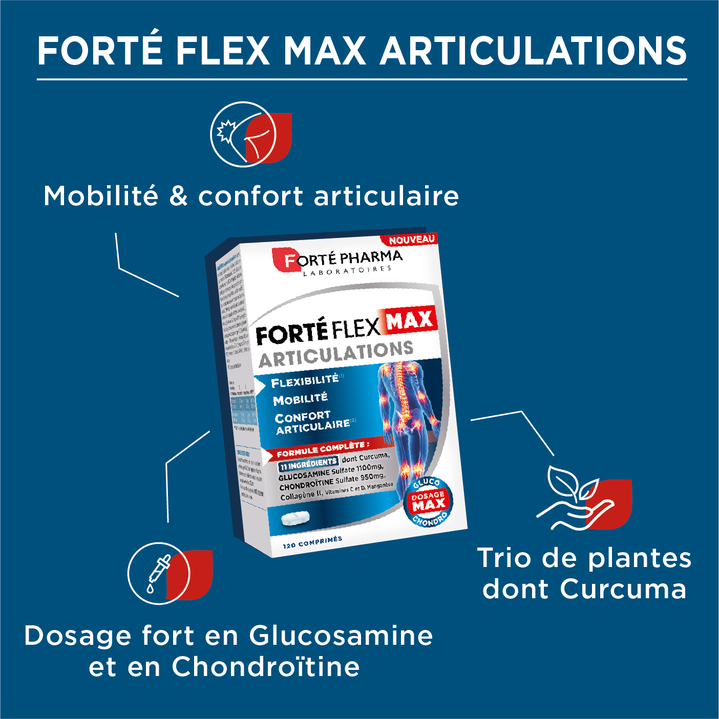 Bienfaits articulations Fortéflex Max