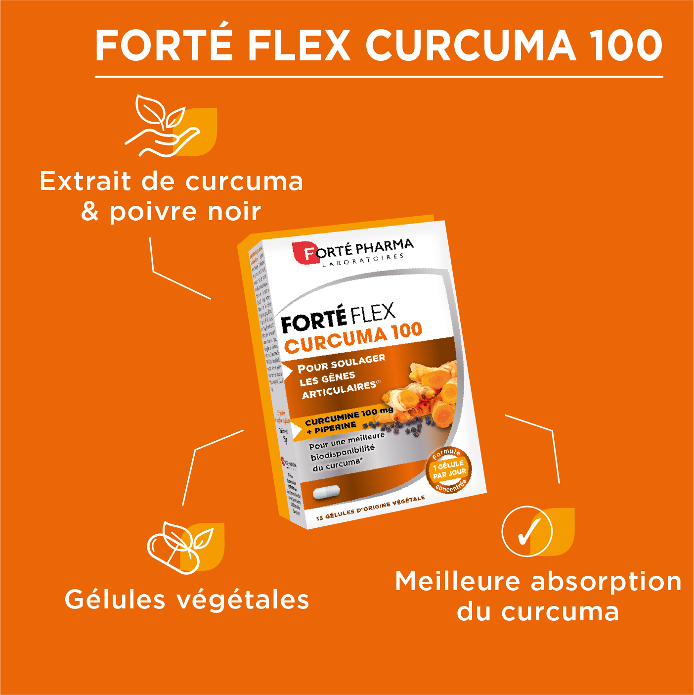 Bienfaits curcuma FortéFlex Curcuma 100 articulations